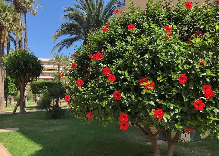 Appartamento Sweet El Palmeral Locos