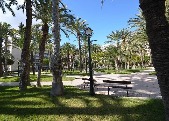 Appartamento Sweet El Palmeral Locos Torrevieja